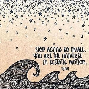 Meet your Posher, Callie